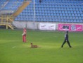 /album/fci-ipo-2012-vb-zalaegerszeg/fci2012zalaegerszeg-039-jpg/